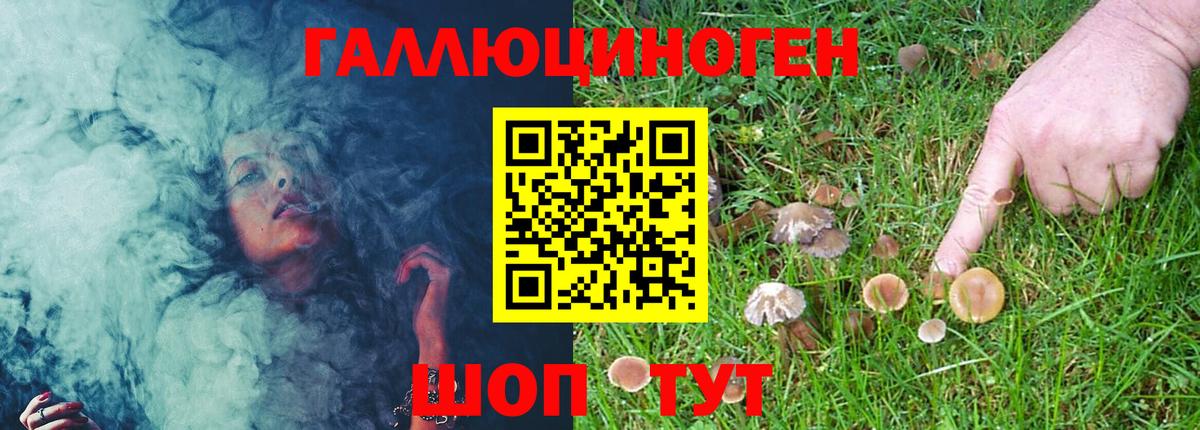 Галлюциногенные грибы Magic Shrooms Берёзовский