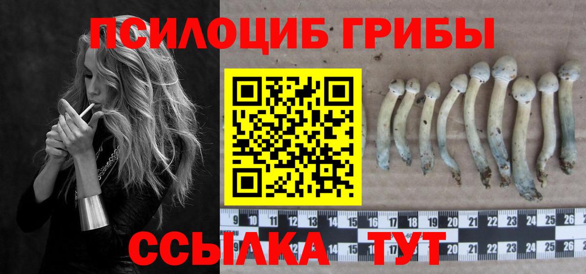 Берёзовский  Галлюциногенные грибы GOLDEN TEACHER  Вход с VPN 